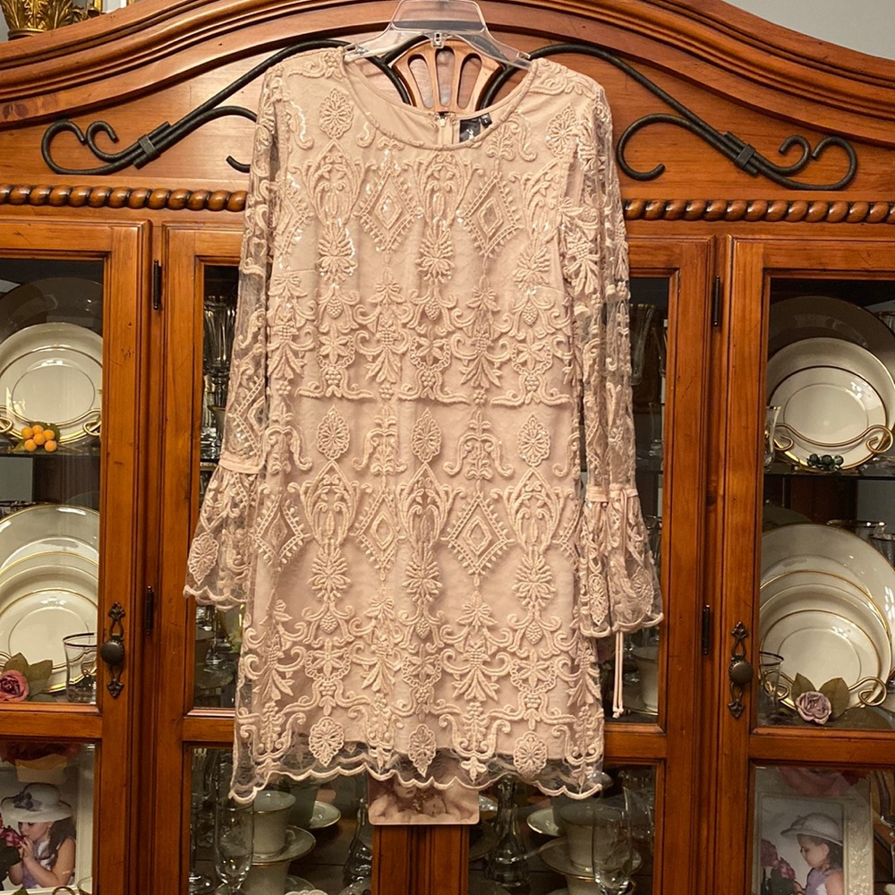 Beige embroiled and sequin dress. Beautiful sheer bell sleeves